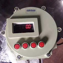 Flame Proof Digital Tank Weighing Scale
